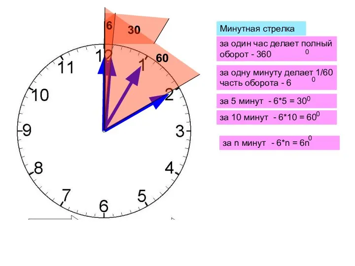 Минутная стрелка за один час делает полный оборот - 360 за
