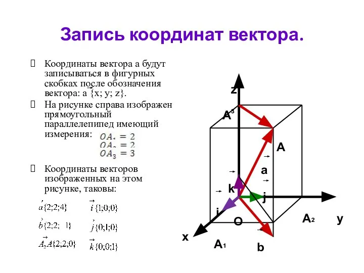 Запись координат вектора. Координаты вектора а будут записываться в фигурных скобках