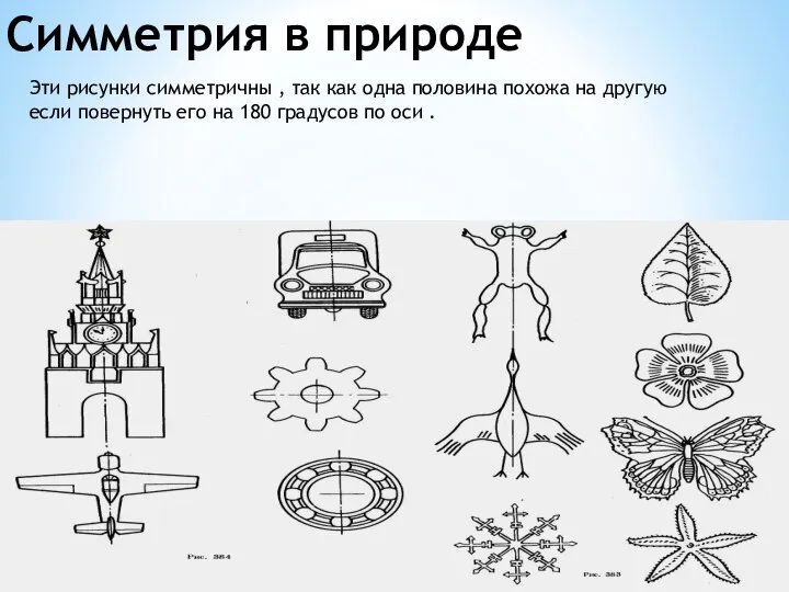 Симметрия в природе Эти рисунки симметричны , так как одна половина