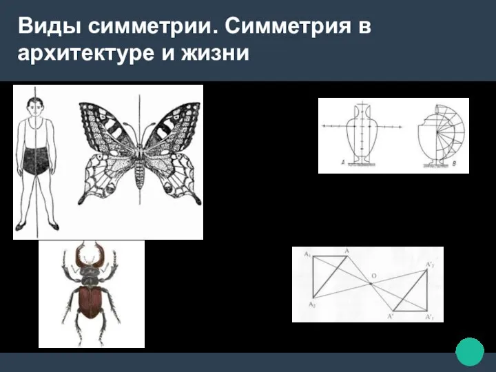 Виды симметрии. Симметрия в архитектуре и жизни