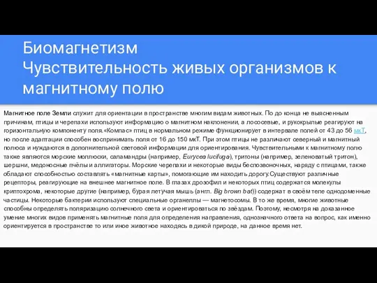 Биомагнетизм Чувствительность живых организмов к магнитному полю Магнитное поле Земли служит