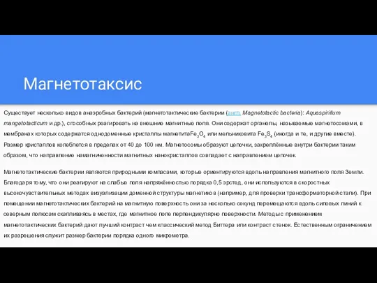 Магнетотаксис Существует несколько видов анаэробных бактерий (магнетотактические бактерии (англ. Magnetotactic bacteria):