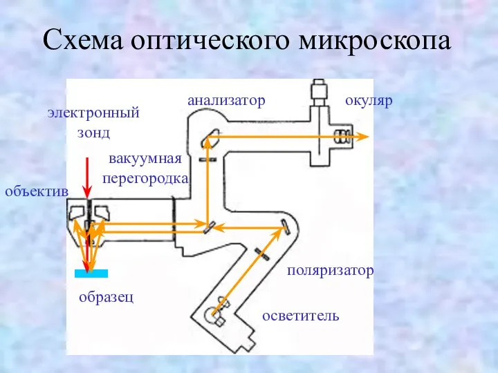 Схема оптического микроскопа образец электронный зонд объектив вакуумная перегородка осветитель поляризатор анализатор окуляр