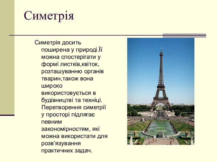 Симетрія Симетрія досить поширена у природі.Її можна спостерігати у формі листків,квіток,розташуванню