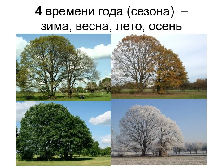 4 времени года (сезона) – зима, весна, лето, осень