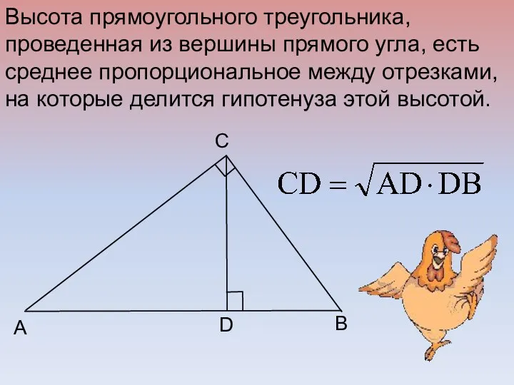 B C A D Высота прямоугольного треугольника, проведенная из вершины прямого
