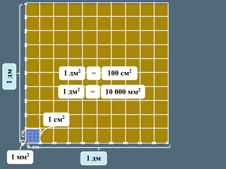 1 см 1 см 1 дм 1 дм 1 см2 1