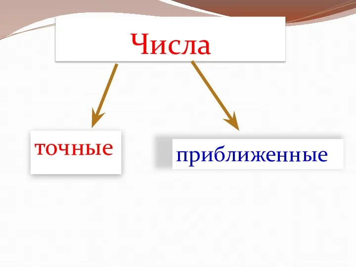 Числа точные приближенные