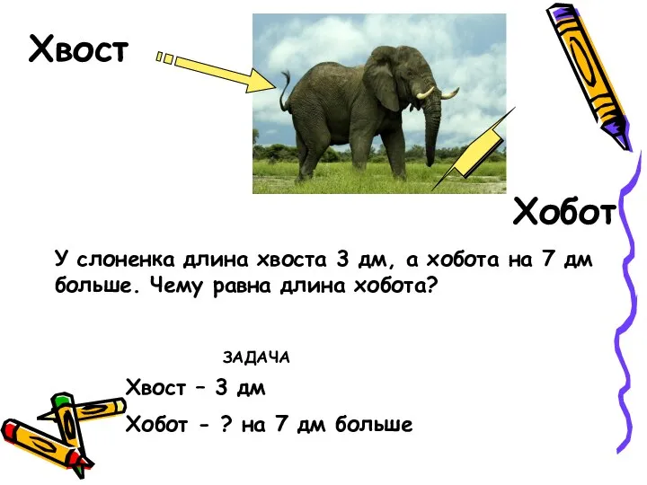 Хвост Хобот Хвост – 3 дм Хобот - ? на 7