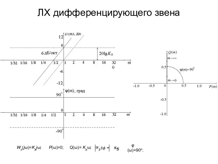 ЛХ дифференцирующего звена Wр(jω)=Kдjω; P(ω)=0; Q(ω)= Kдω; φ(ω)=90o.