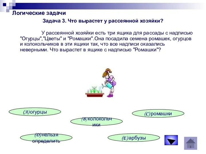 Логические задачи Задача 3. Что вырастет у рассеянной хозяйки? У рассеянной