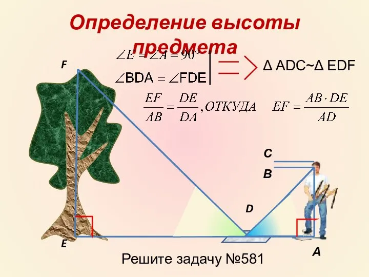 Определение высоты предмета А В С D F E Δ ADC~Δ EDF Решите задачу №581