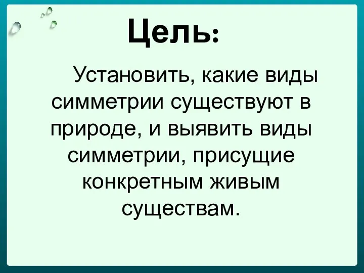 Цель: Установить, какие виды симметрии существуют в природе, и выявить виды симметрии, присущие конкретным живым существам.