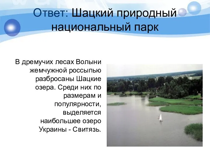 Ответ: Шацкий природный национальный парк В дремучих лесах Волыни жемчужной россыпью