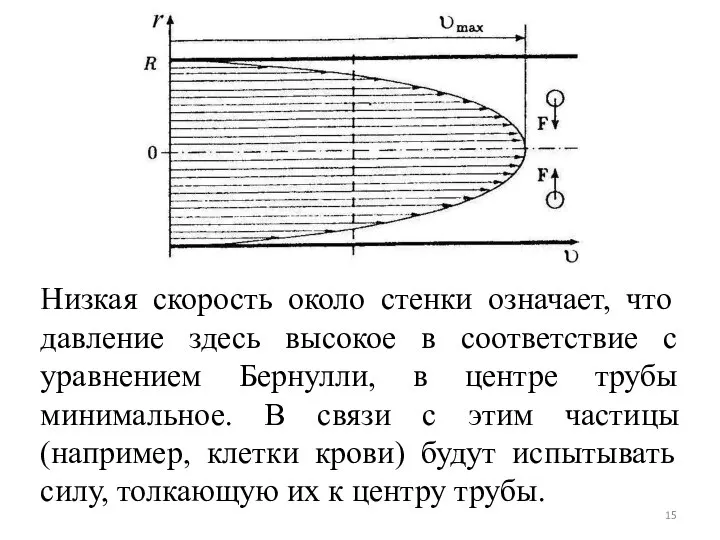 Низкая скорость около стенки означает, что давление здесь высокое в соответствие