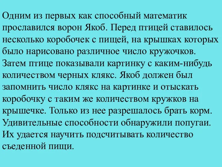 Одним из первых как способный математик прославился ворон Якоб. Перед птицей