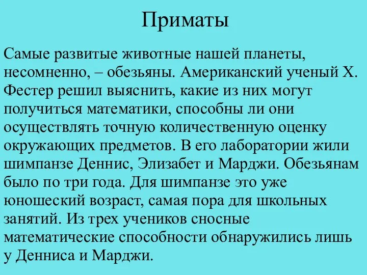 Приматы Самые развитые животные нашей планеты, несомненно, – обезьяны. Американский ученый