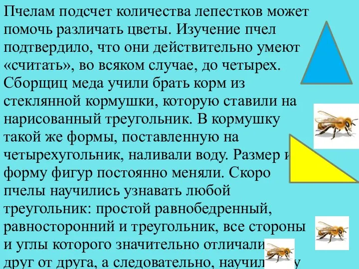 Пчелам подсчет количества лепестков может помочь различать цветы. Изучение пчел подтвердило,