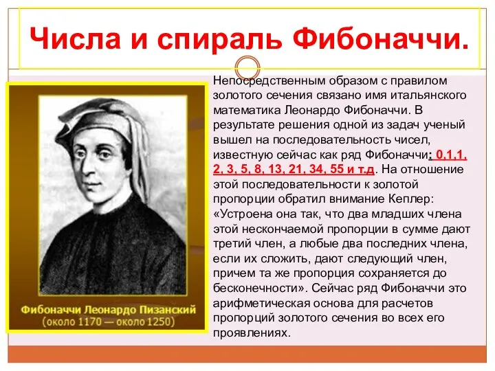 Числа и спираль Фибоначчи. Непосредственным образом с правилом золотого сечения связано