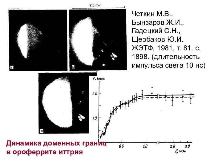 Четкин М.В., Бынзаров Ж.И., Гадецкий С.Н., Щербаков Ю.И. ЖЭТФ, 1981, т.