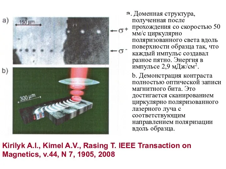 Доменная структура, полученная после прохождения со скоростью 50 мм/с циркулярно поляризованного