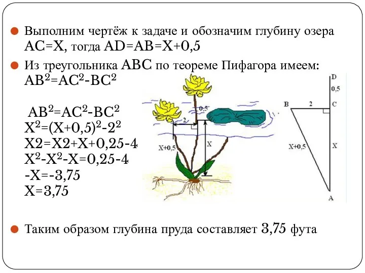 Выполним чертёж к задаче и обозначим глубину озера AC=X, тогда AD=AB=X+0,5