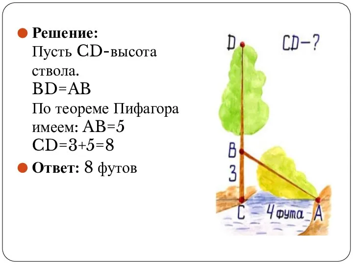 Решение: Пусть CD-высота ствола. BD=AB По теореме Пифагора имеем: AB=5 CD=3+5=8 Ответ: 8 футов