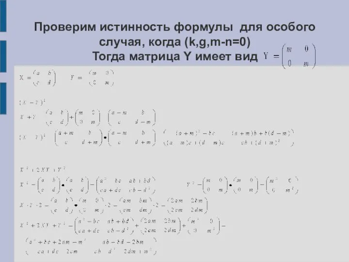 Проверим истинность формулы для особого случая, когда (k,g,m-n=0) Тогда матрица Y имеет вид