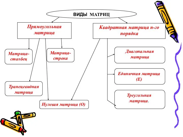 Квадратная матрица n-го порядка Прямоугольная матрица ВИДЫ МАТРИЦ Матрица-столбец Матрица-строка Нулевая