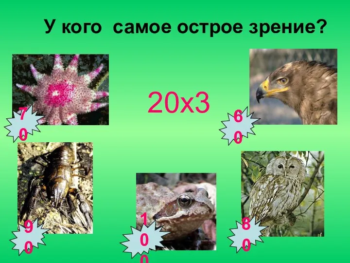 90 100 70 80 60 У кого самое острое зрение? 20х3