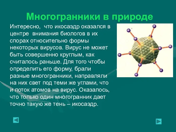 Многогранники в природе Интересно, что икосаэдр оказался в центре внимания биологов