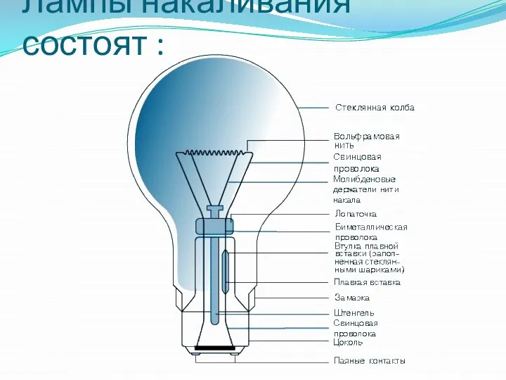 Лампы накаливания состоят :