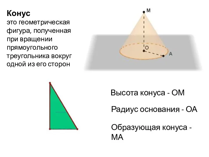 Конус это геометрическая фигура, полученная при вращении прямоугольного треугольника вокруг одной