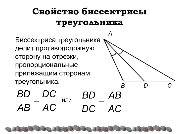 Свойство биссектрисы треугольника C B A Биссектриса треугольника делит противоположную сторону