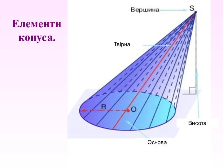 Елементи конуса. Твірна Основа Висота