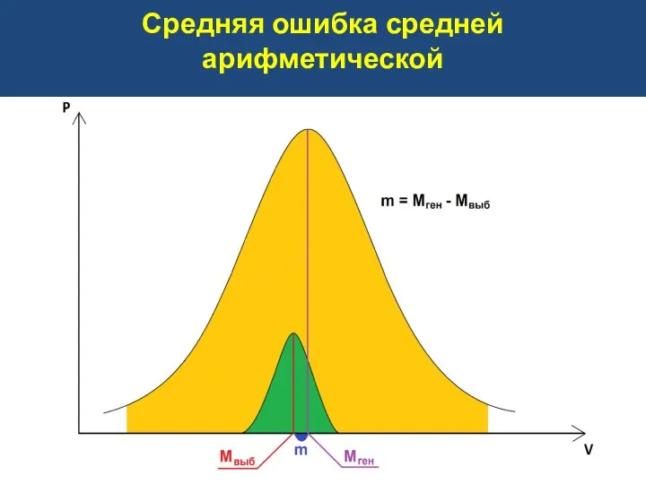 Средняя ошибка средней арифметической