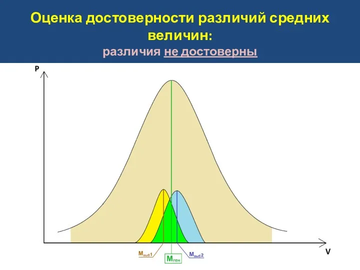 Оценка достоверности различий средних величин: различия не достоверны