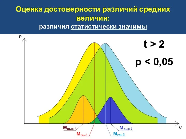 Оценка достоверности различий средних величин: различия статистически значимы t > 2 р