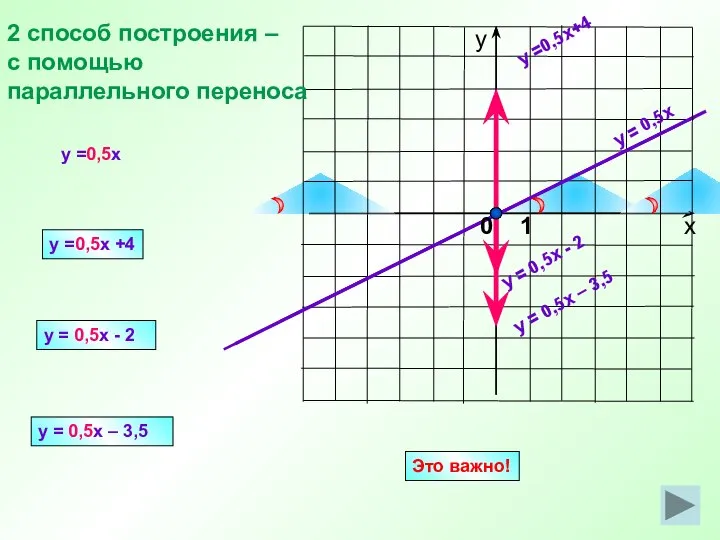 y = 0,5x y =0,5x+4 y = 0,5x - 2 y