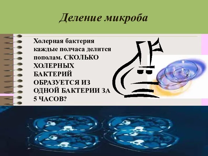 Деление микроба Холерная бактерия каждые полчаса делится пополам. СКОЛЬКО ХОЛЕРНЫХ БАКТЕРИЙ