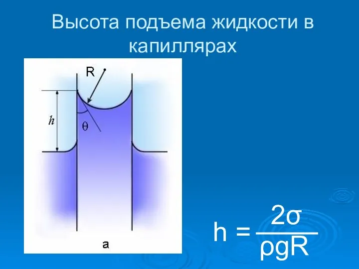 Высота подъема жидкости в капиллярах