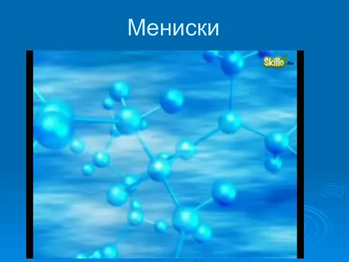 Мениски