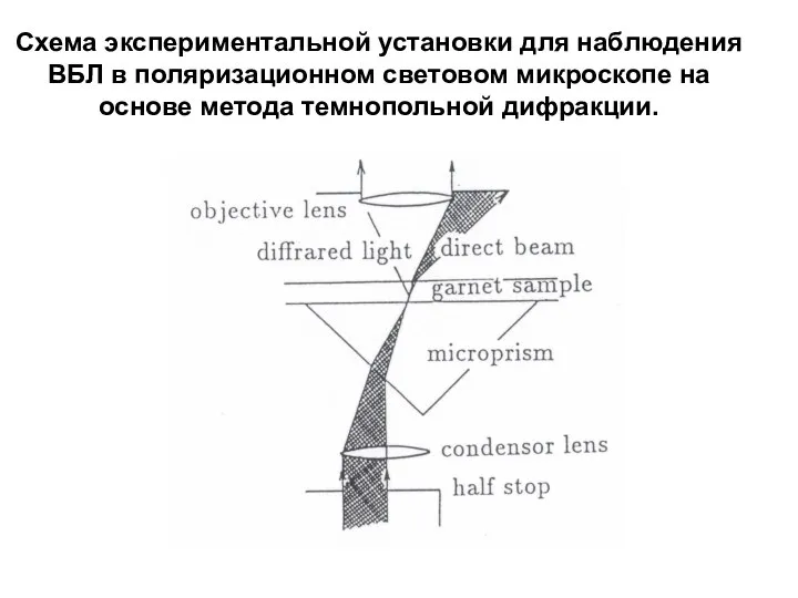 Схема экспериментальной установки для наблюдения ВБЛ в поляризационном световом микроскопе на основе метода темнопольной дифракции.