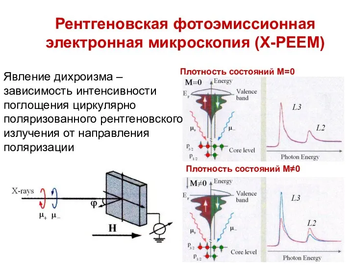 Рентгеновская фотоэмиссионная электронная микроскопия (X-PEEM) Явление дихроизма – зависимость интенсивности поглощения