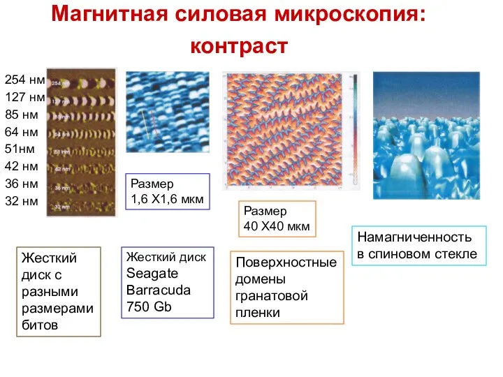 Магнитная силовая микроскопия: контраст 254 нм 127 нм 85 нм 64