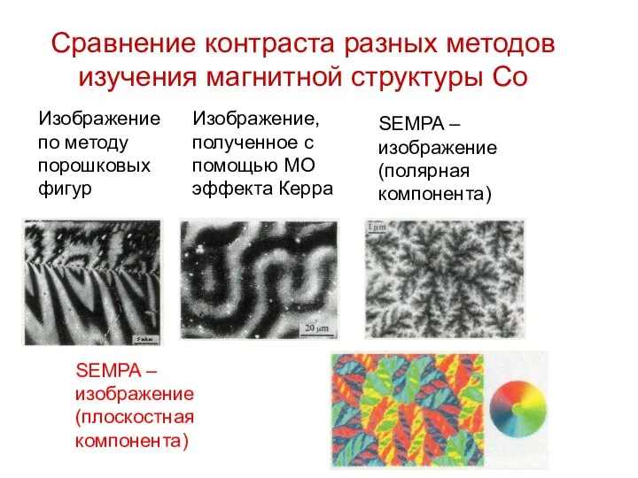 Сравнение контраста разных методов изучения магнитной структуры Co Изображение по методу