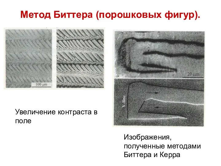 Метод Биттера (порошковых фигур). Увеличение контраста в поле Изображения, полученные методами Биттера и Керра