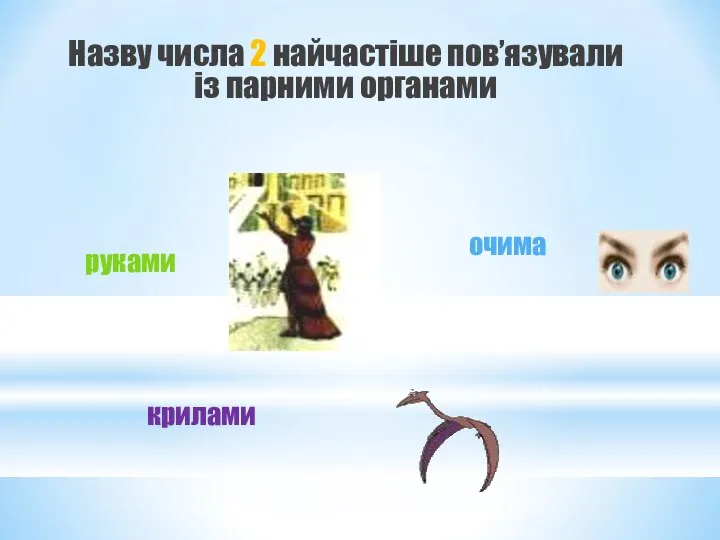 Назву числа 2 найчастіше пов’язували із парними органами крилами очима руками