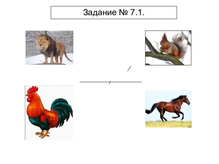 Задание № 7.1.