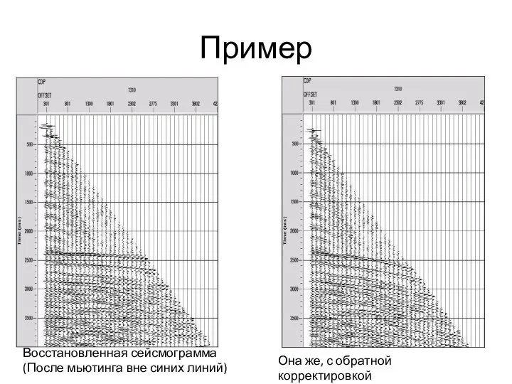 Пример Восстановленная сейсмограмма (После мьютинга вне синих линий) Она же, с обратной корректировкой